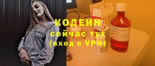 спайс Вяземский