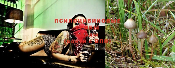 спайс Вяземский