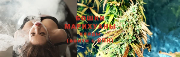 МДПВ Вязьма