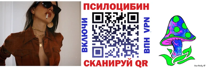 Купить закладки  Нягань  Галлюциногенные грибы Cubensis 
